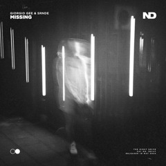 Giorgio Gee & SRNDE - Missing