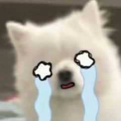 이제와뒤늦게