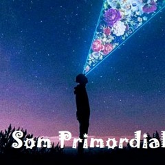 Som Primordial
