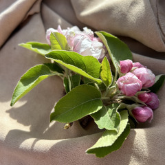 I don’t wanna leave you