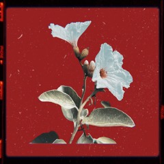 BrokenHearted (SkyCover)