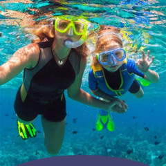 Best Snorkeling In Destin Fl Prices Reviews