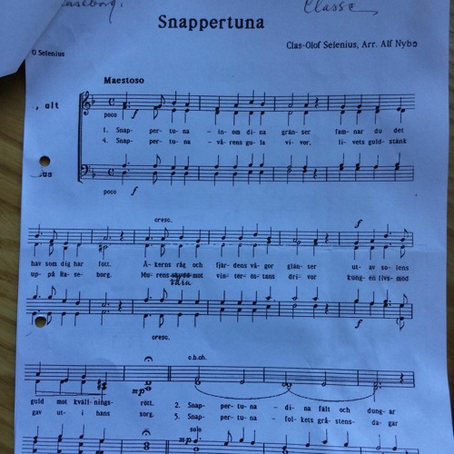 Stream Snappertuna by Kjell Selenius Listen online for free on SoundCloud