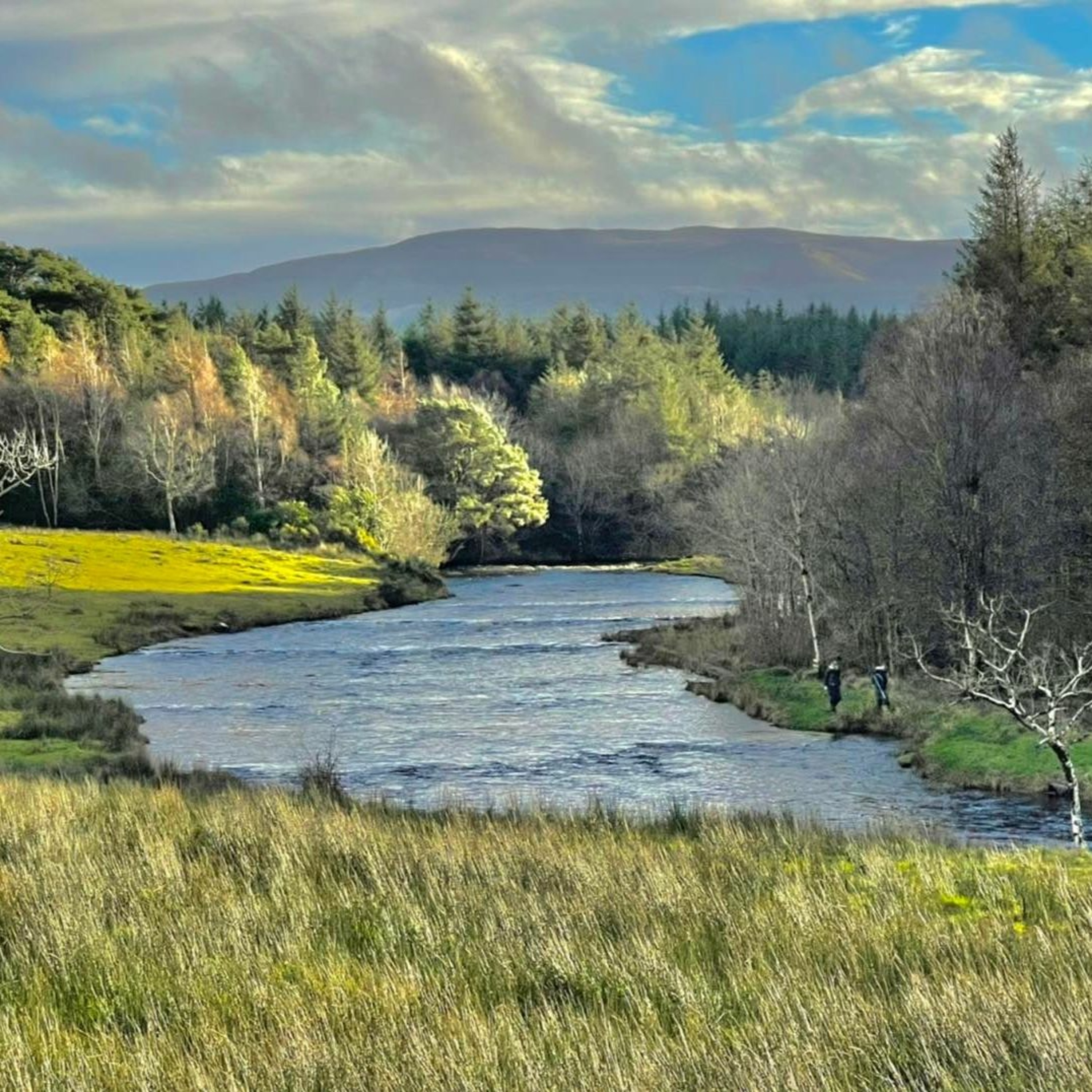 Peche en irlande