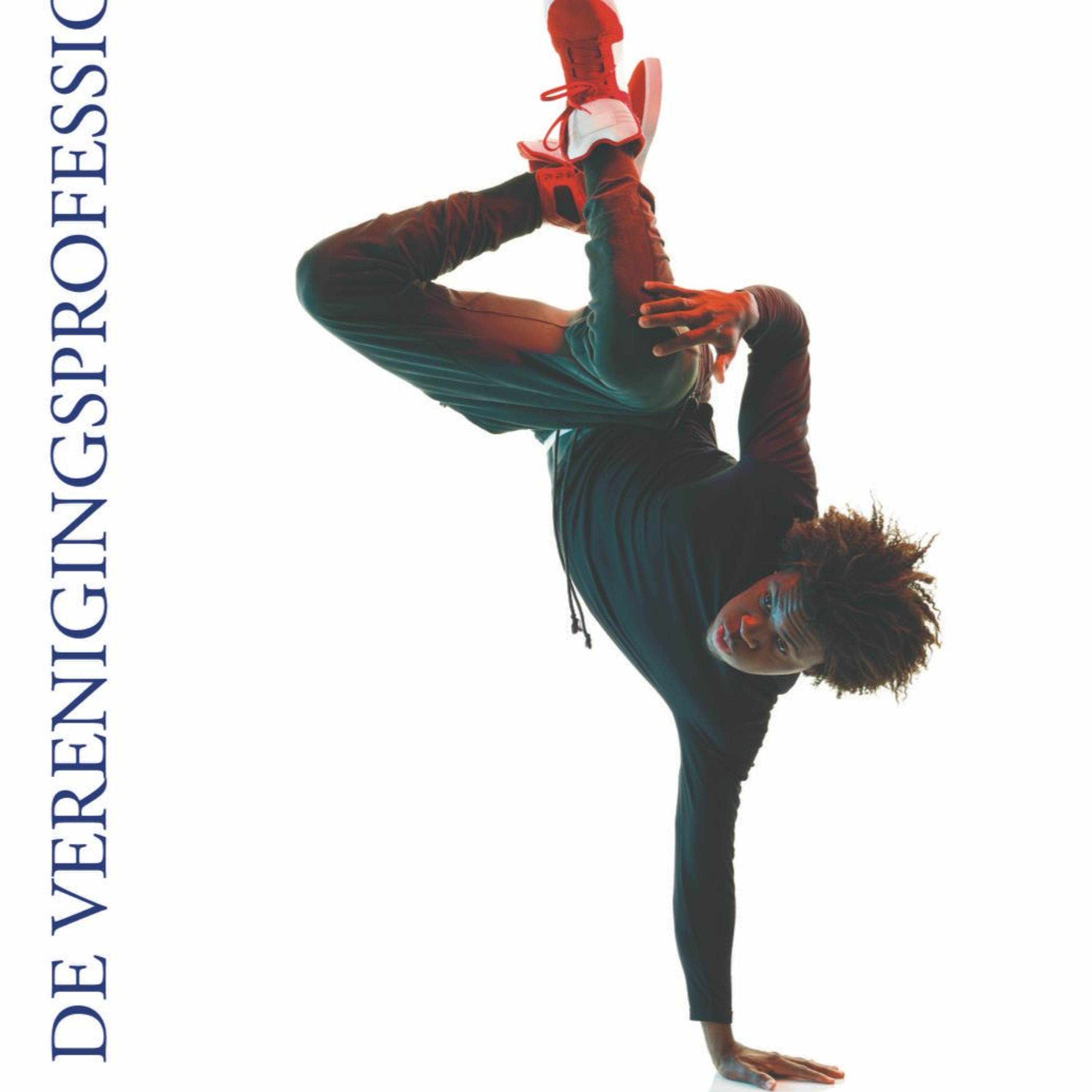 VP de Verenigingsprofessional
