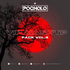 DJ Pocholo VIP Mashup Pack Vol.8 (PREVIEW)