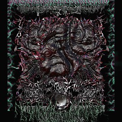 Toroidal Torture 145-260
