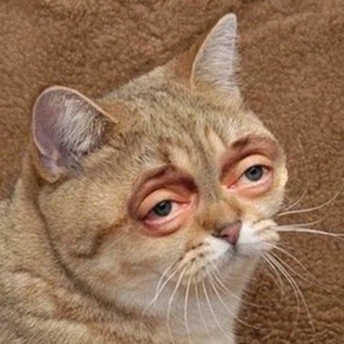 Nửa Vầng Trăng (Haiyang x Hyylee Remix)