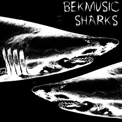 BekMusic - SHARKS