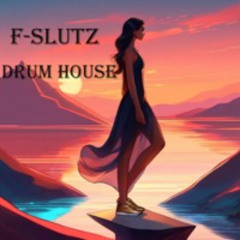 DRUM  HOUSE by Slutsky