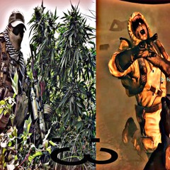 bank roll + kushcoma2014