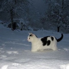 Somewhere - Till Death Do We Start