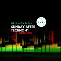 Sunday After Techno 41