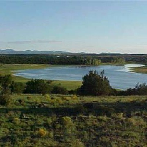 Stream GMT20220212 180342 Recording by Windsor Valley Ranch POA