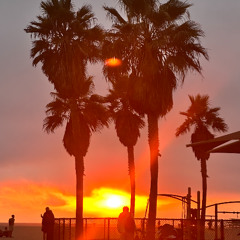 LA Ecstatic Dance Beach Vibes live set by Sarita Sol