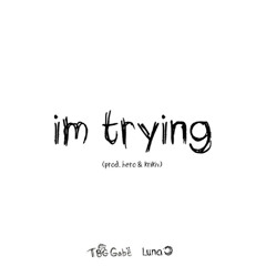 im trying (feat. watchthesunfade) (prod. hero & krikiv)