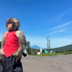 Japan Beat- 11:8:18, 8.55 PM