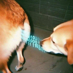 Slater- So Much Blood