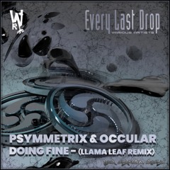 Psymmetrix & Occular - Doing Fine (LlamaLeaf Remix)