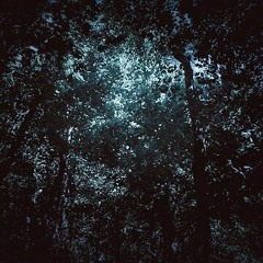 4inthemorning (prodstayhigh)