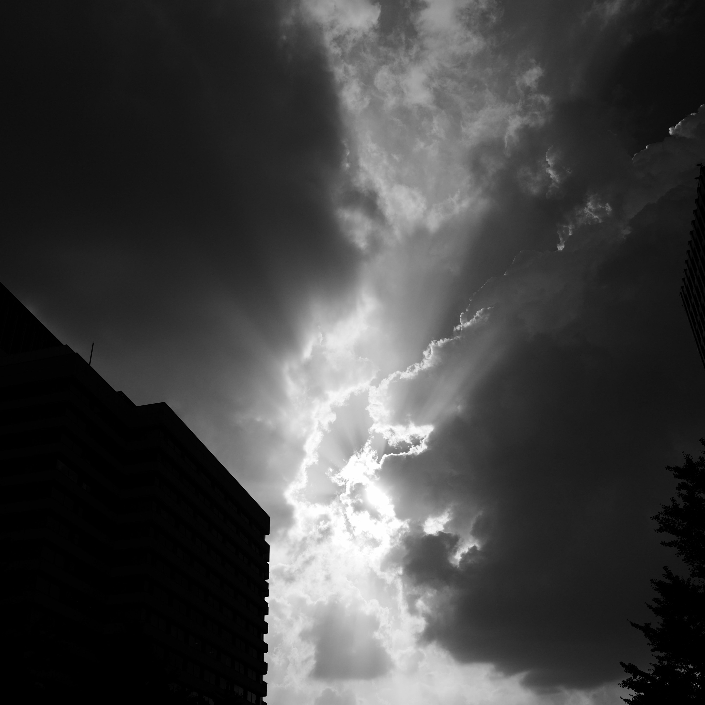 kaolu_euphony