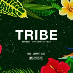 [FREE] Rema ft B Young & Omah Lay Type Beat "Tribe" | Afrobeat Instrumental 2023
