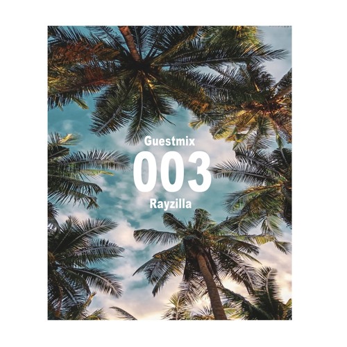 Under The Palmtrees - Show 003 - By RayZilla