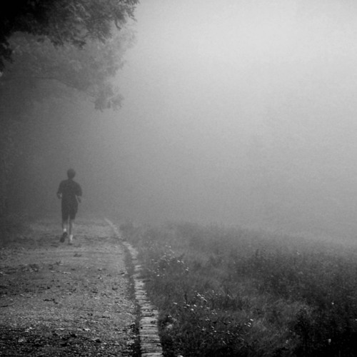 Das Licht auf der anderen Seite