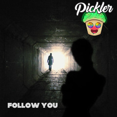 Pickler & Muffin - Follow You