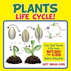 download EBOOK 💘 A Plant's Life Cycle! From Small Sprouts to Big Leaves - Botany for