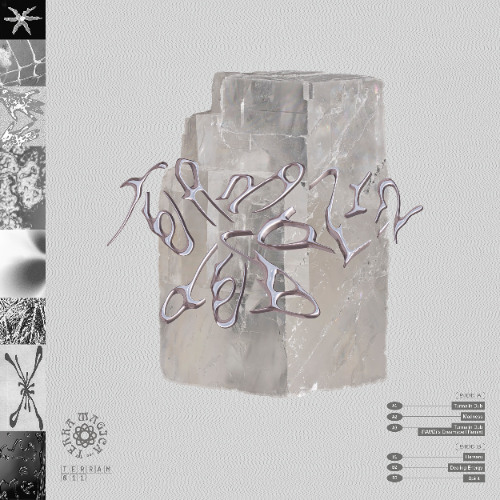 Tom of Terram & Listensport - Madness [Terra Magica Records]