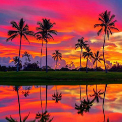 Harley’s in Hawaii - Katy Perry (Celly Remix)