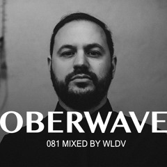 WLDV - Oberwave Mix 081