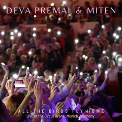 All the Birds Fly Home (Live)