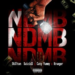 SH3LTON SUICID3 X CATYUMMY X KRUEGER - NDMB [Prod. Arkk].mp3