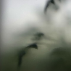 241012 Ambient Dice