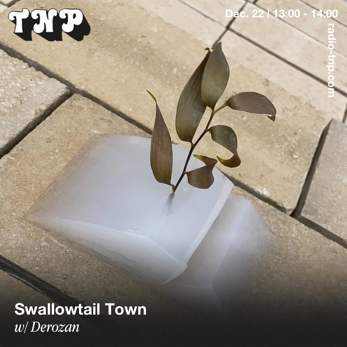Swallowtail Town w/ Derozan