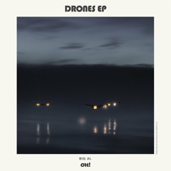 BiG AL - Drones (Herman & Sköld Remix)