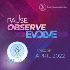Pause Observe Evolve : Soul Vibes