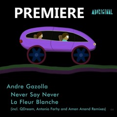 Andre Gazolla - Never Say Never (Original Mix)