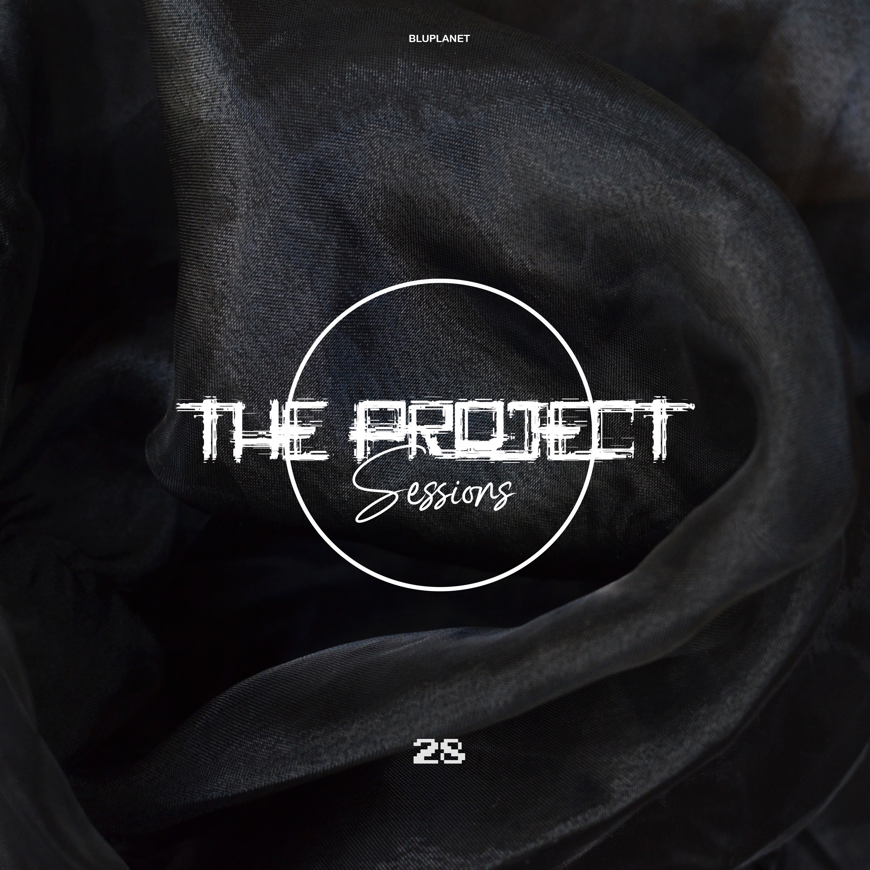 The Project Sessions