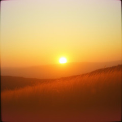 Stay This Light+