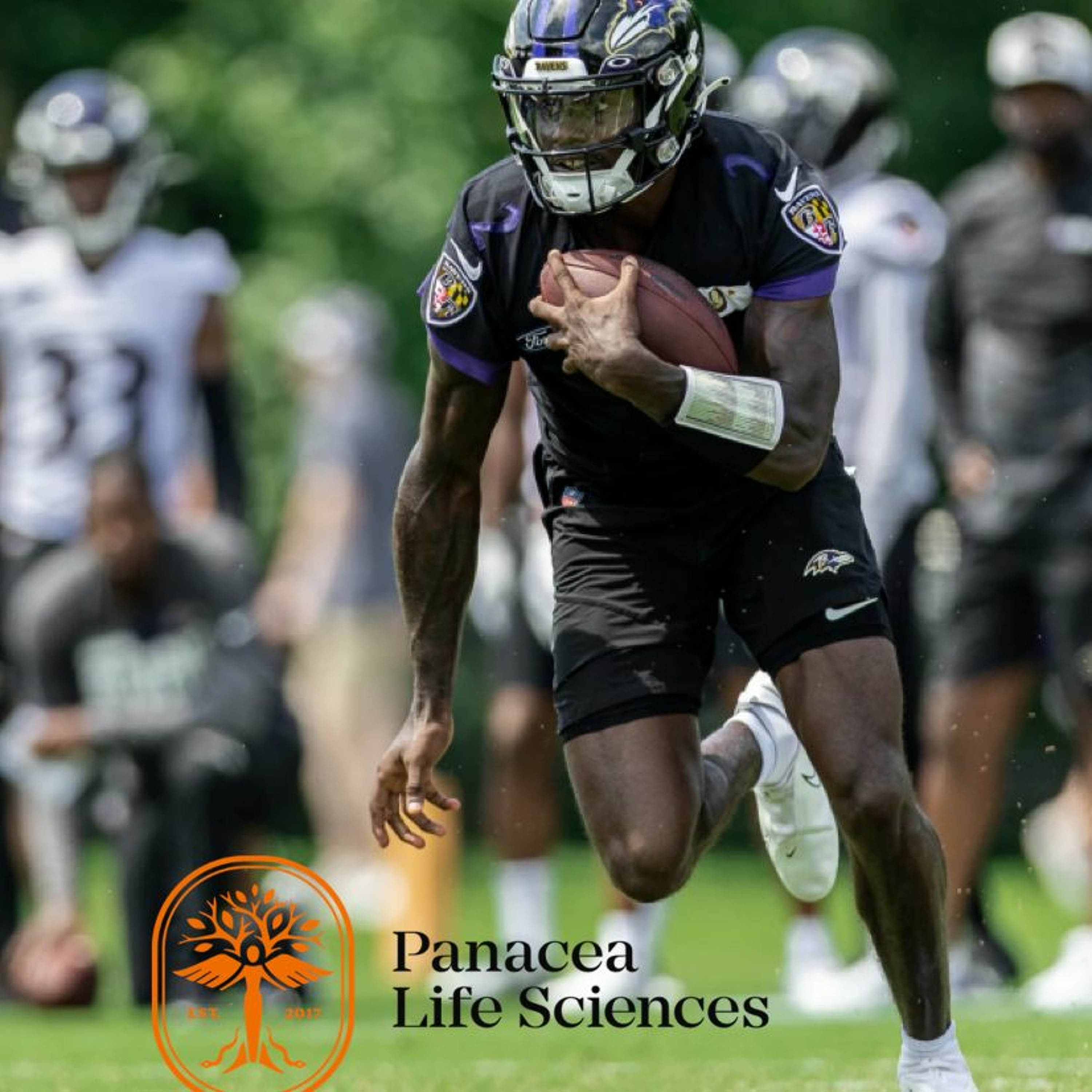 CAMP NOTES DAY 10: It's Time to Hit Someone Else