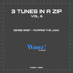 Gerse Gast - Pumping The Junk