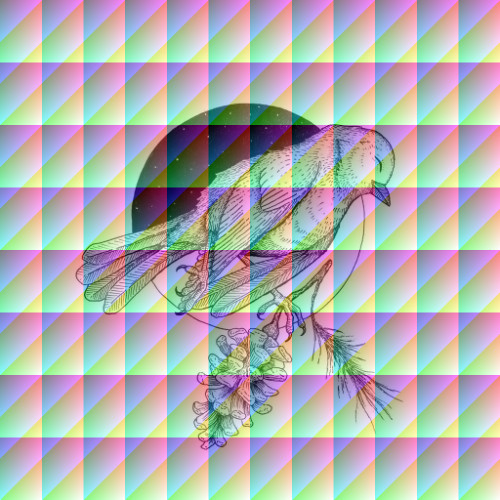 acid