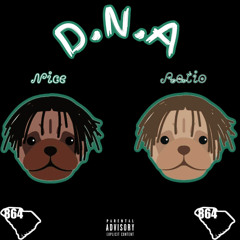 D.N.A - Nice x Lil Ratio