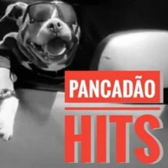 ♻️PANCADÃO MEGA HITS by Dj WsanTinho