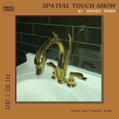 The Spatial Touch Show (w/ Goose Down) 12-1-23
