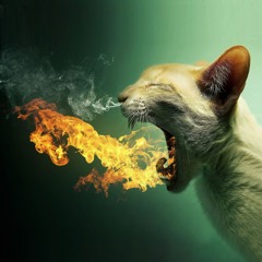 CALOR