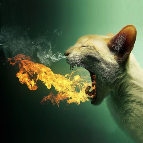 CALOR
